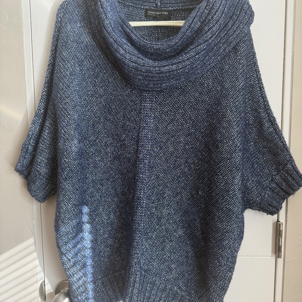 PLUS SIZE (1X)_Jones New York Sweater (Blue)